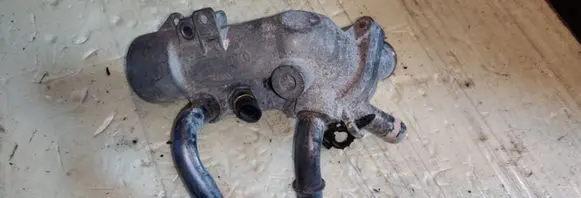 Thermostat/thermostat housing