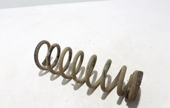 Rear coil spring