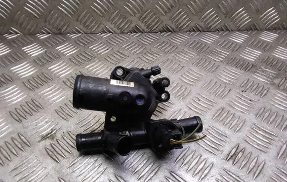 Thermostat/thermostat housing