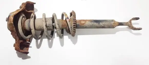 Volkswagen PASSAT B5 Front shock absorber/damper 3b0413031