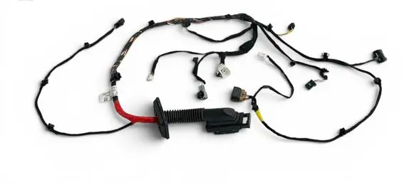 Hyundai Tucson IV NX4 Front door wiring loom 916J0N7431 54995