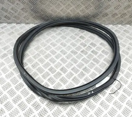 Peugeot 308 Rubber seal front coupe door 9677519680
