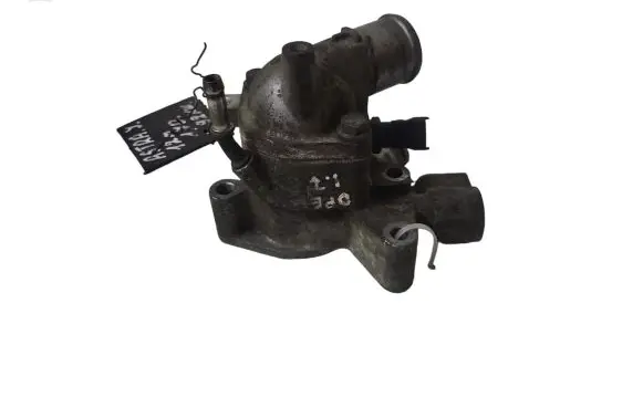 Thermostat/thermostat housing