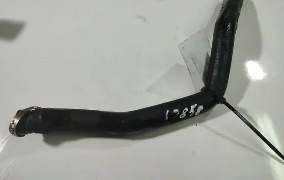 Volkswagen PASSAT B5 Engine coolant pipe/hose 