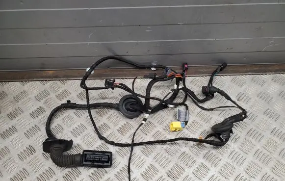 Audi S5 Facelift Front door wiring loom 8T1971029Q