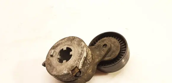 Audi A6 S6 C6 4F Generator/alternator belt tensioner 04883020001