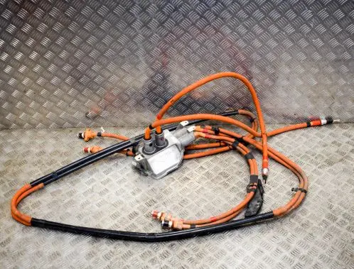 Tesla Model S Other wiring loom 109700010D 106260010C
