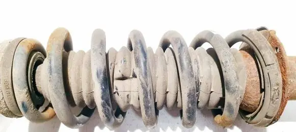 Rear coil spring