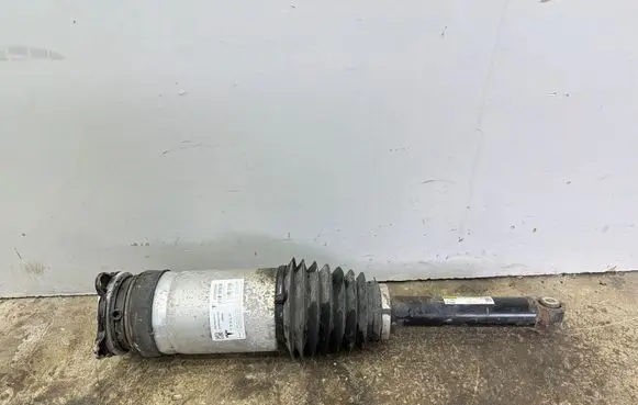 Tesla Model S Shock absorber/damper/air suspension 106746600C A16D00043105 W309255101