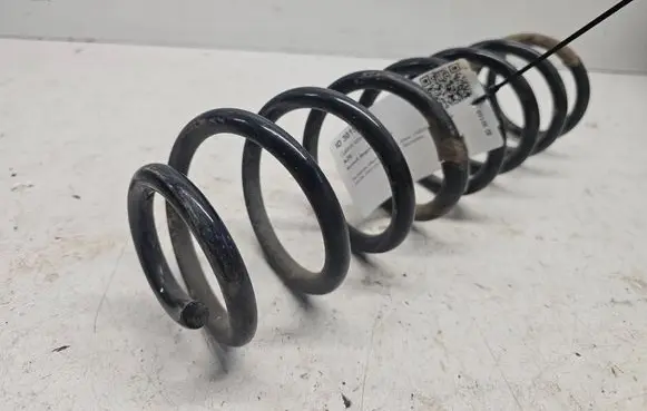 Renault Megane II Rear coil spring 