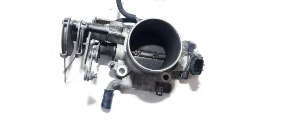 Subaru Outback Throttle valve sera48306 c8930