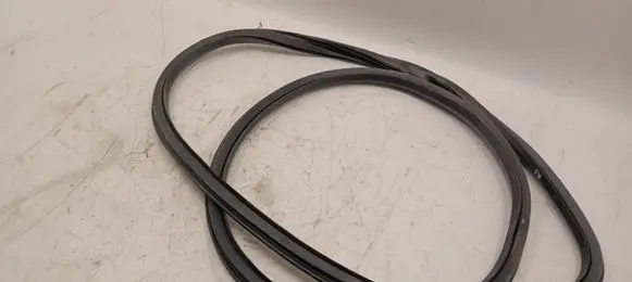 Opel Insignia A Front door rubber seal