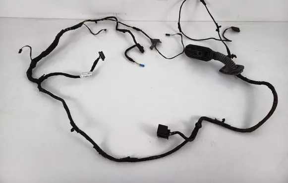 BMW 6 F06 Gran coupe Rear door wiring loom 9169241 9255415