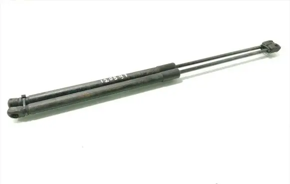 Tailgate/trunk strut/damper