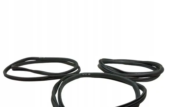 BMW X6 E71 Rubber seal front door (on door) 
