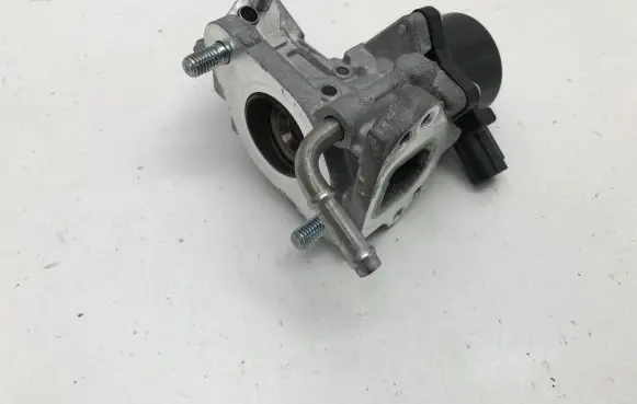 Toyota RAV 4 (XA50) EGR valve 2562024050