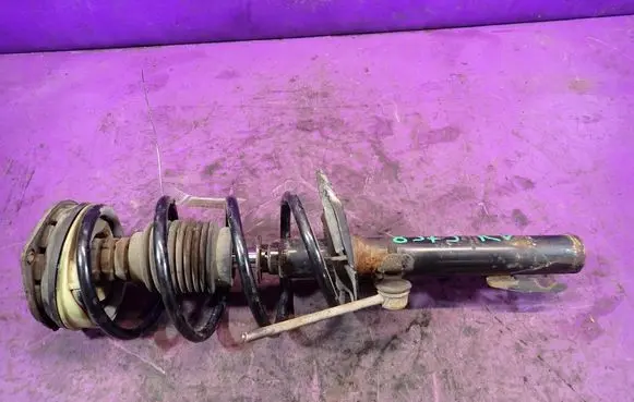 Renault Scenic II - Grand scenic II Front shock absorber with coil spring 