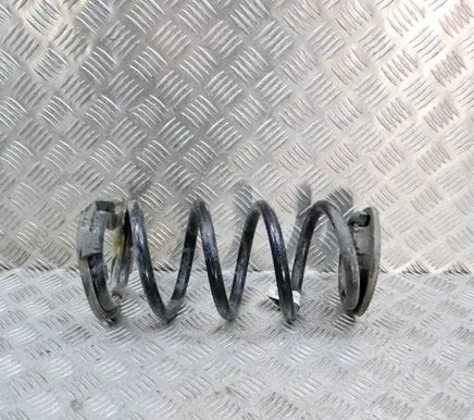 Tesla Model 3 Rear coil spring 104447201E
