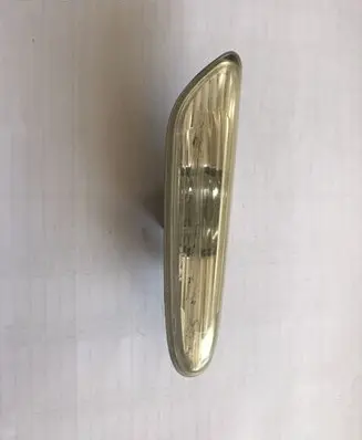 Front fender indicator light