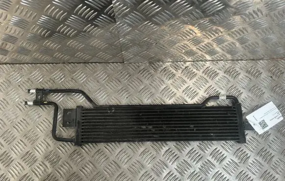 KIA Sorento Power steering radiator 254602P000