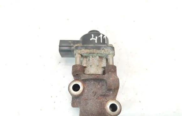 Suzuki Liana EGR valve