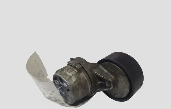 Fiat Ducato Timing belt/chain tensioner INAF611806