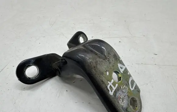 KIA Niro Front door lower hinge 