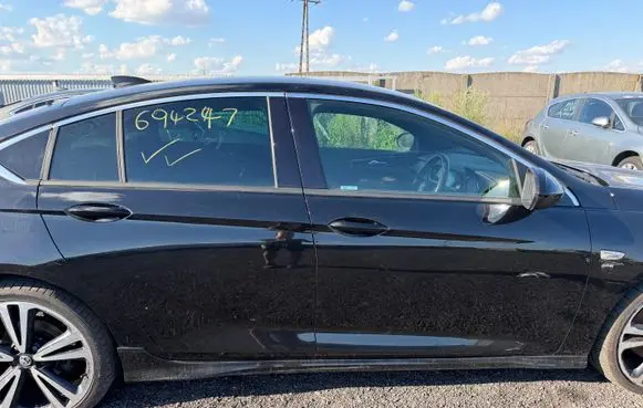 Opel Insignia B Rear door