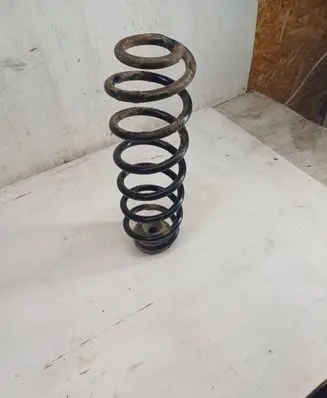 Skoda Roomster (5J) Rear coil spring