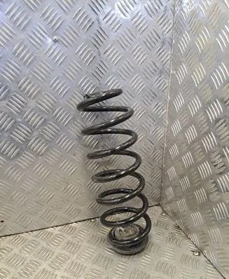 Rear coil spring