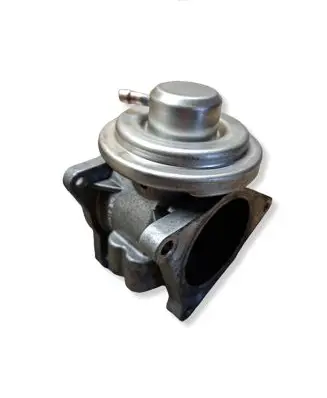 Volkswagen Golf V EGR valve 038131501AF 038129637D