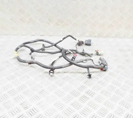 Tesla Model 3 Other wiring loom 206796801B