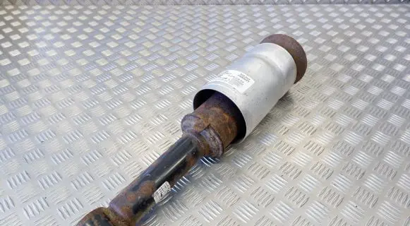 Land Rover Range Rover Sport L320 Air suspension front shock absorber RNB000857 3496697 22214641