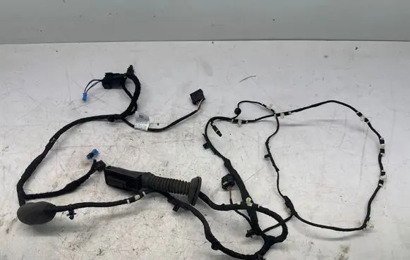 Front door wiring loom