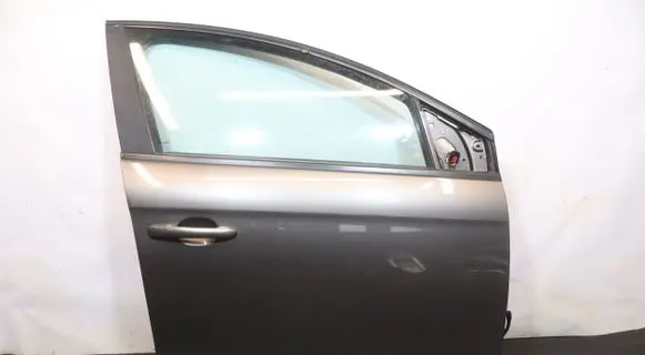 Fiat Bravo Front door