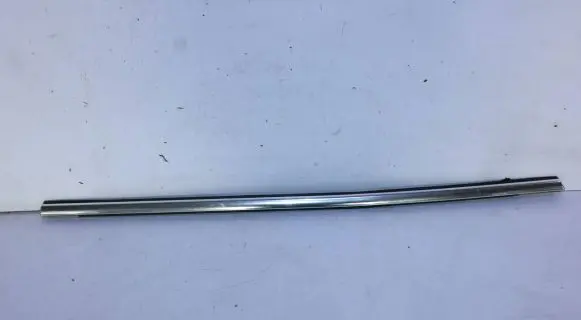 Ford Focus Front door trim (molding)