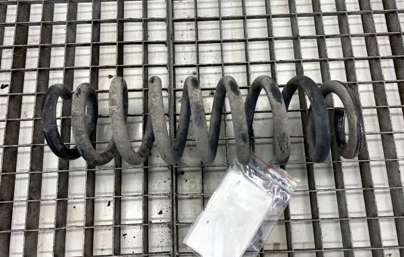 Rear coil spring