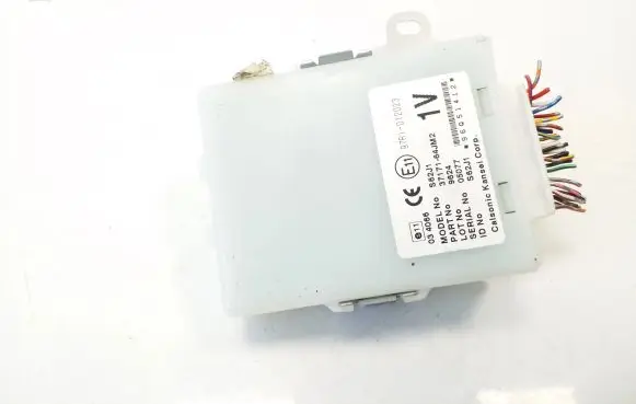 Suzuki Grand Vitara II Other control units/modules 3717164JM2