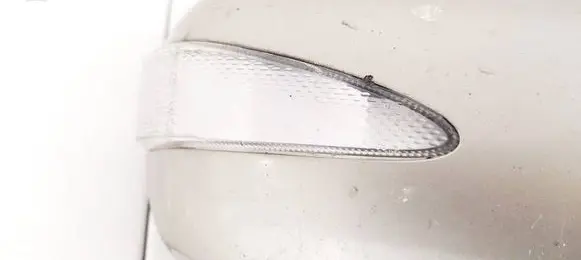 Mitsubishi Grandis Mirror indicator light 