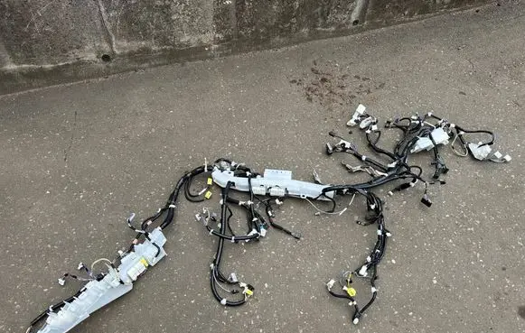 Toyota Sienna XL40 IV Other wiring loom 8214108L332