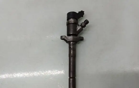 Citroen C5 Fuel injector 0445110188