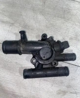 Thermostat/thermostat housing