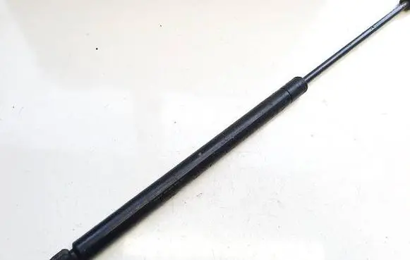 Tailgate/trunk strut/damper
