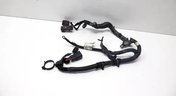 Other wiring loom