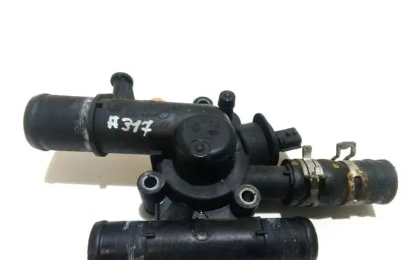 Thermostat/thermostat housing