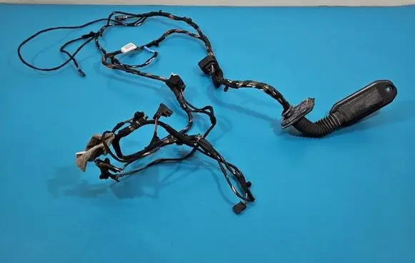 Front door wiring loom