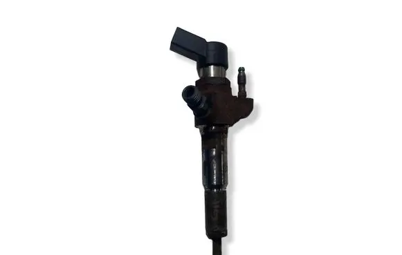 Citroen C4 II Picasso Fuel injector 9802448680