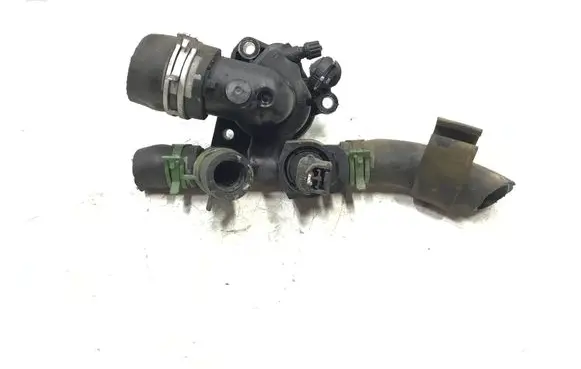 Thermostat/thermostat housing