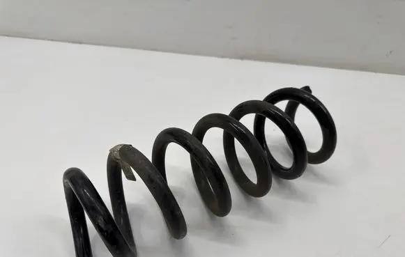 Rear coil spring