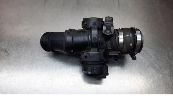 Fiat Scudo Throttle valve 9660030580